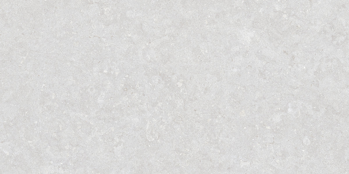 Ghent Porcelain 50x100