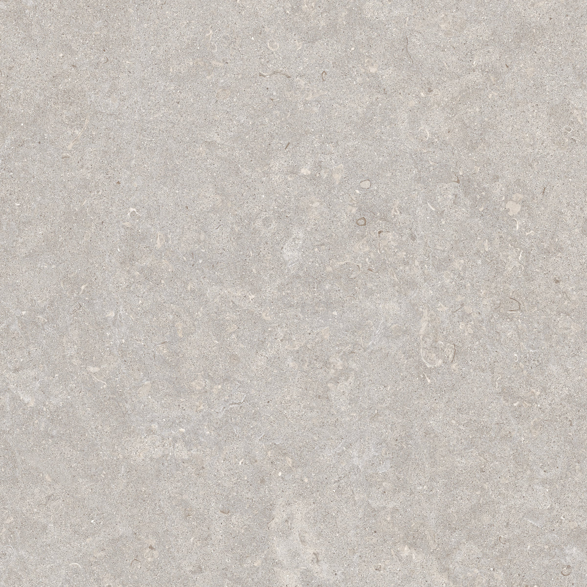 Ghent Porcelain 60x60