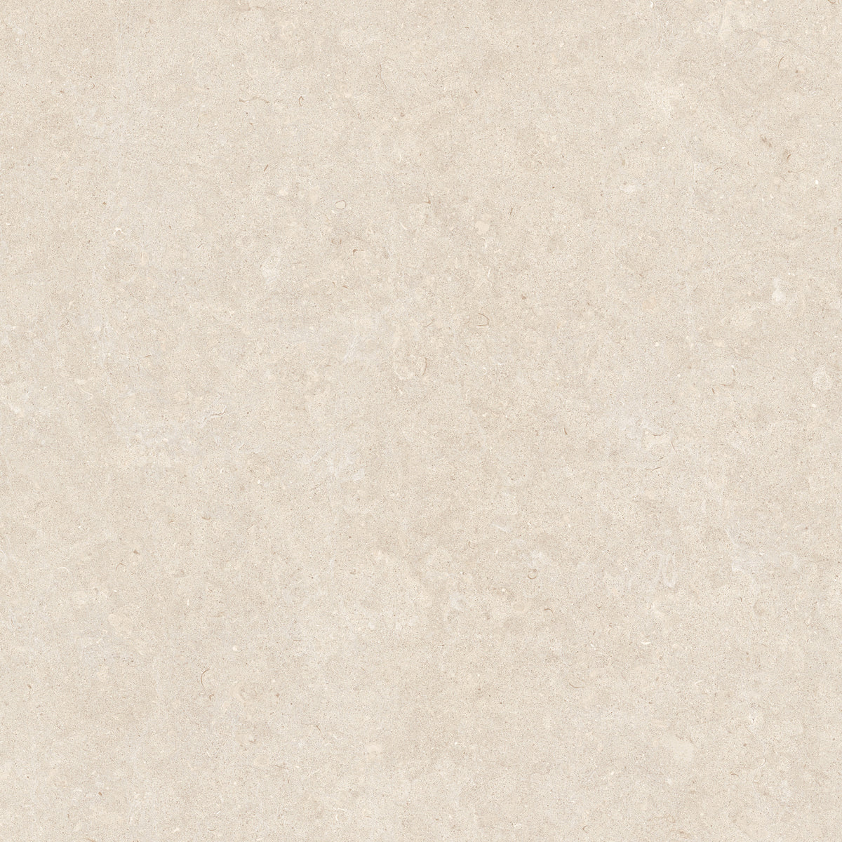 Ghent Porcelain 90x90