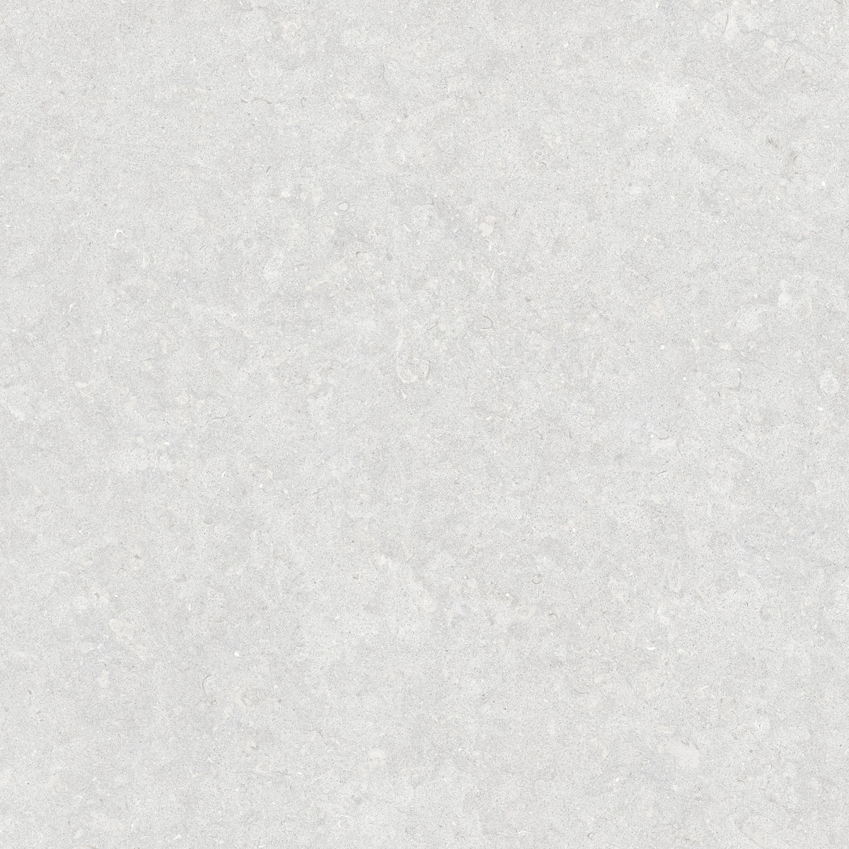 Ghent Porcelain 90x90