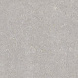 Ghent Porcelain 100x100