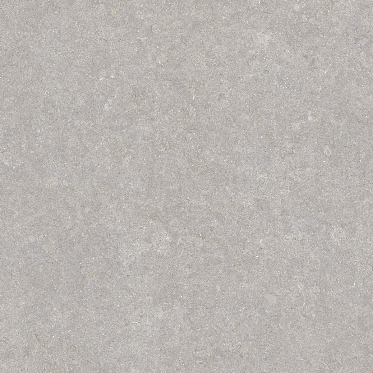 Ghent Porcelain 100x100