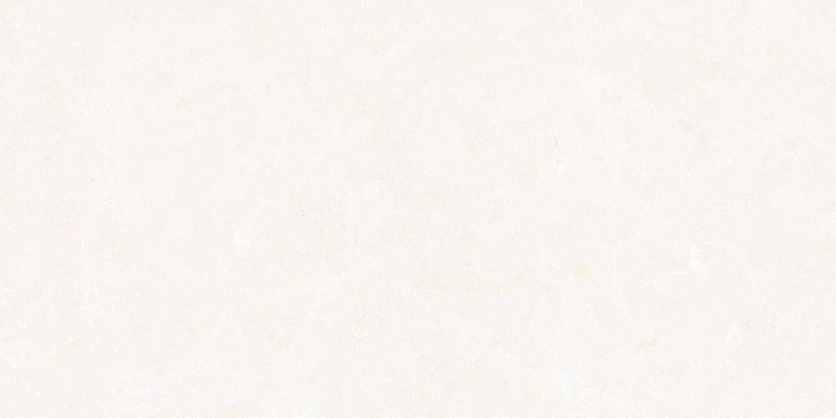 Ghent Porcelain 50x100