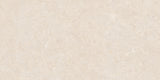 Ghent Porcelain 50x100