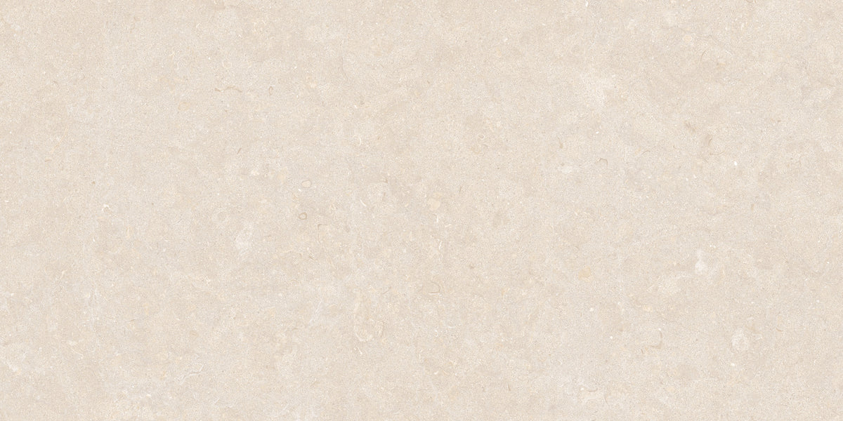 Ghent Porcelain 50x100