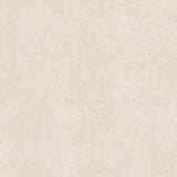Ghent Porcelain 100x100