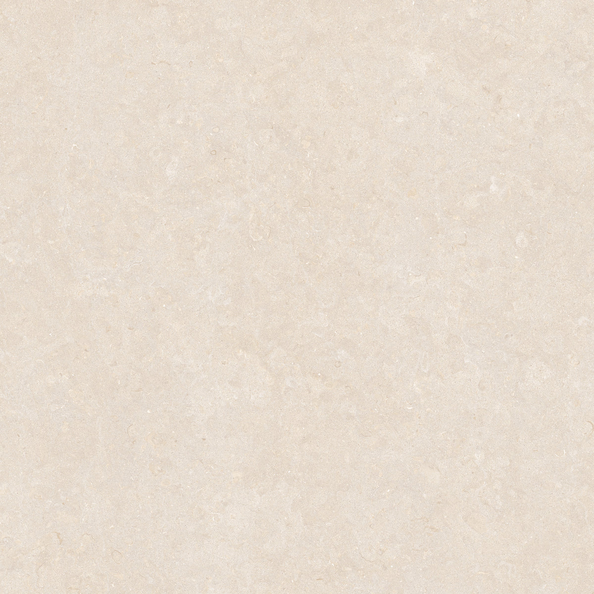 Ghent Porcelain 100x100