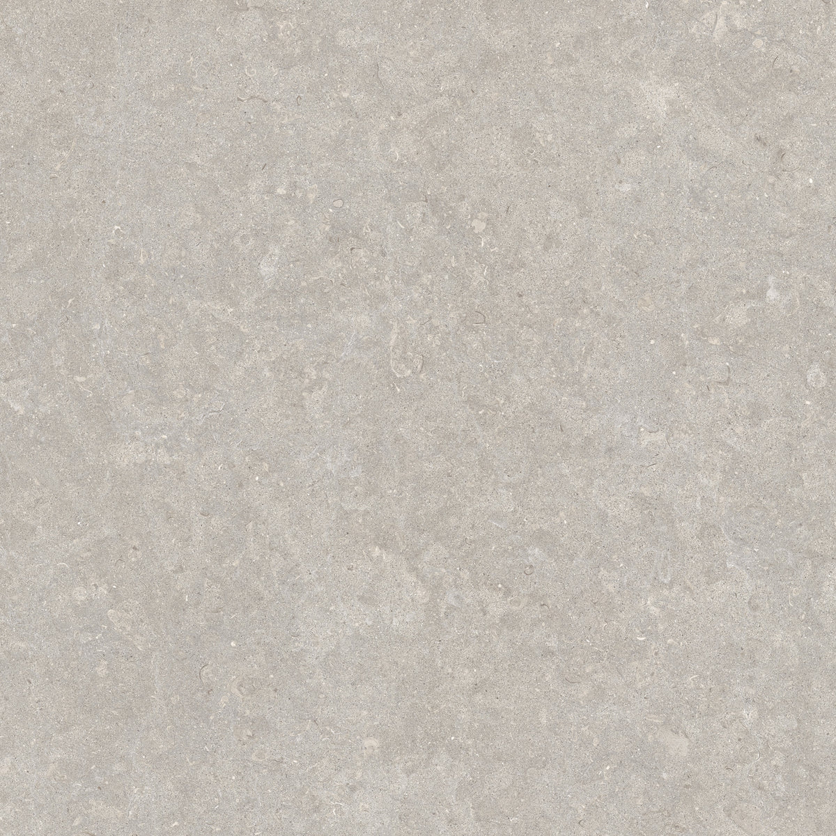 Ghent Porcelain 90x90