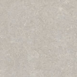 Ghent Porcelain 90x90