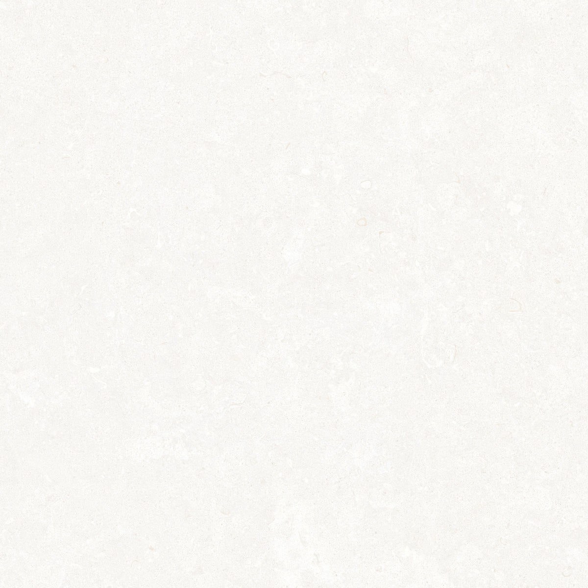 Ghent Porcelain 60x60