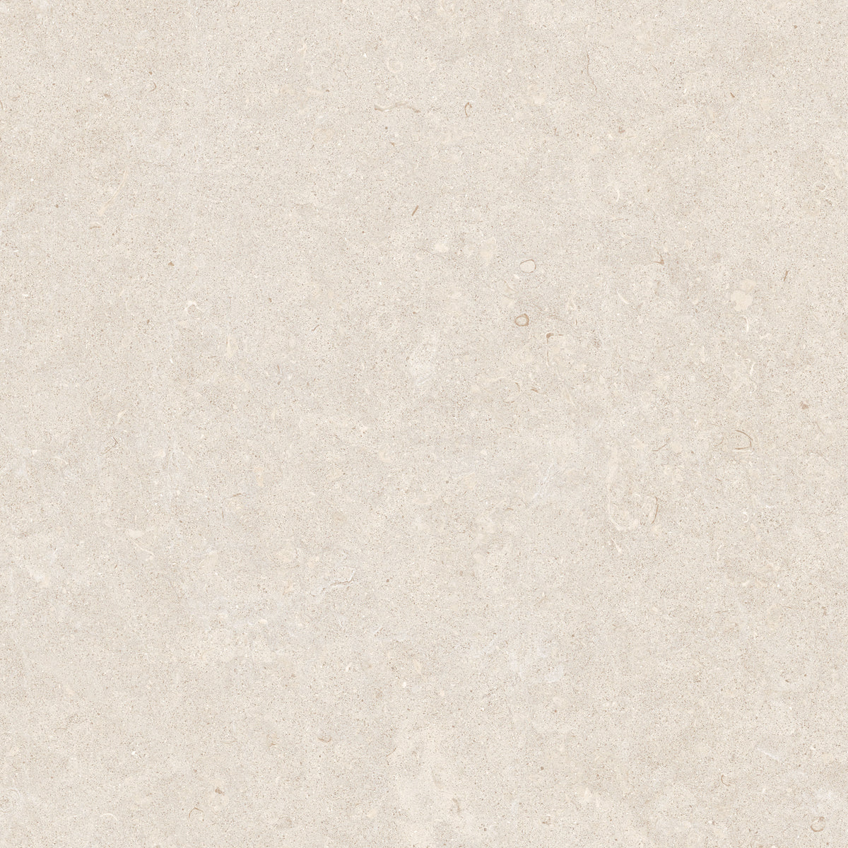 Ghent Porcelain 60x60