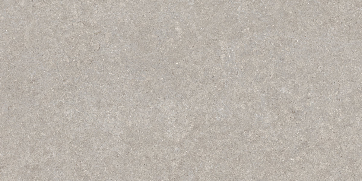 Ghent Porcelain 60x120