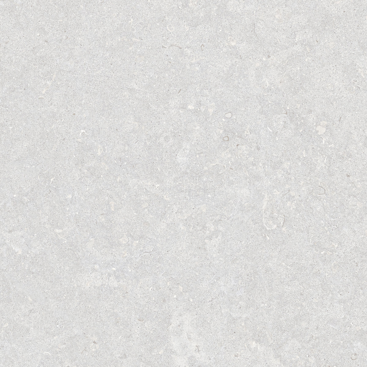 Ghent Porcelain 60x60