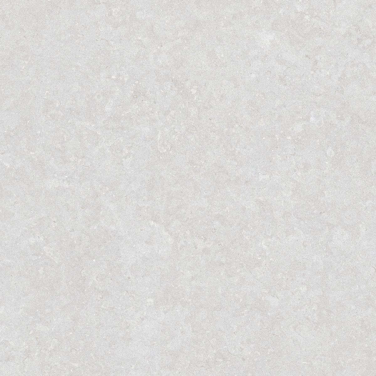 Ghent Porcelain 100x100