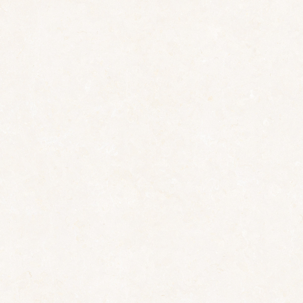 Ghent Porcelain 100x100