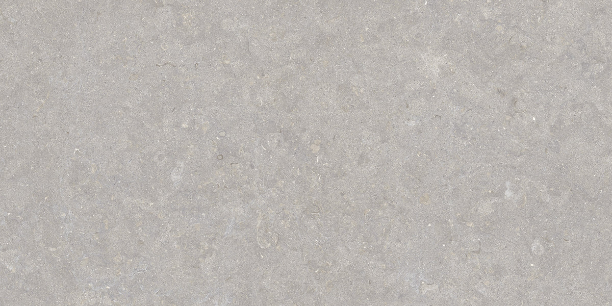 Ghent Porcelain 50x100