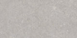 Ghent Porcelain 50x100