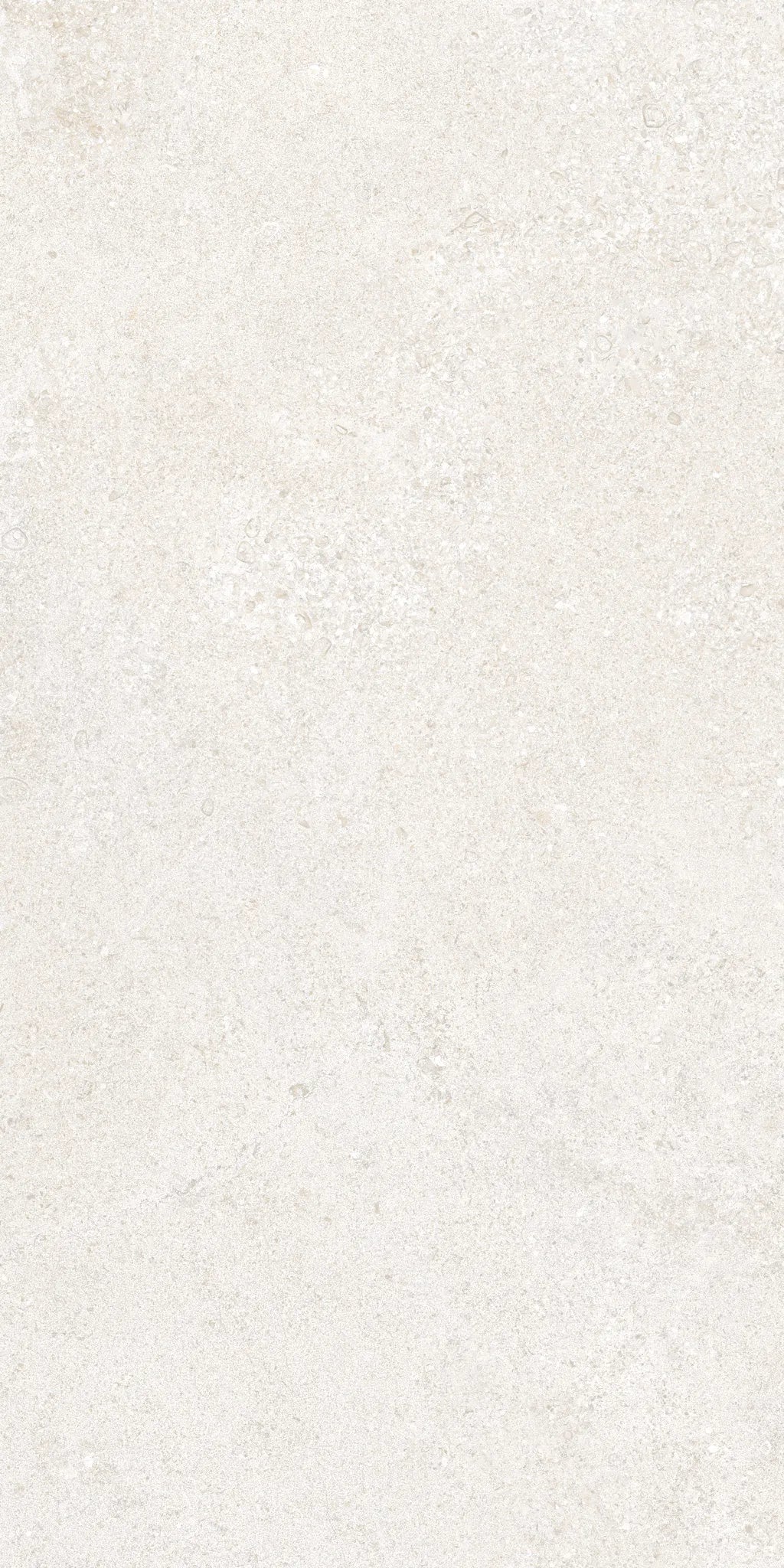 Cluny Porcelain 50x100x2cm Rectificado Antislip