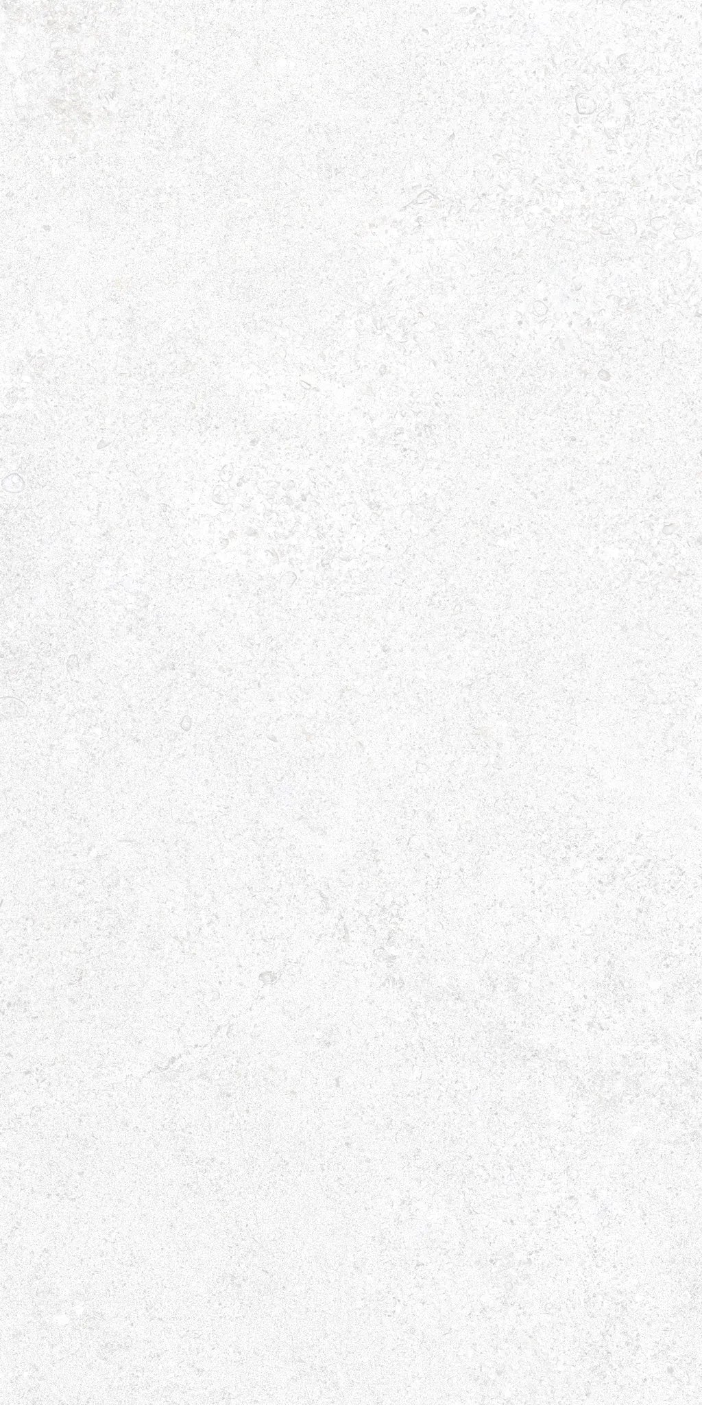 Cluny Porcelain 50x100x2cm Rectificado Antislip