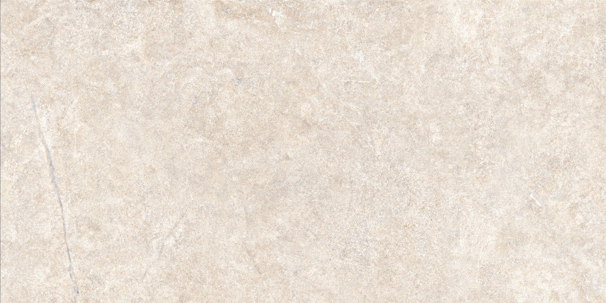 Alchemy Porcelain 50x100cm Rectificado