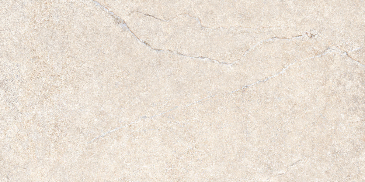 Alchemy Porcelain 50x100cm Rectificado