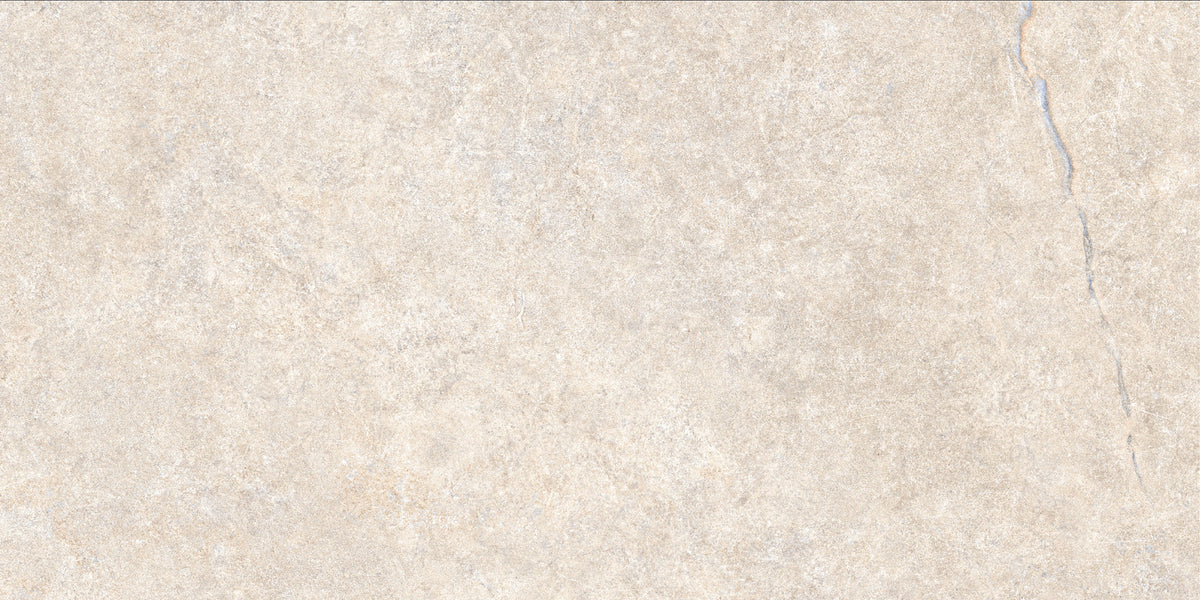 Alchemy Porcelain 50x100cm Rectificado