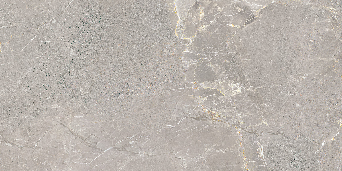 Alchemy Porcelain 50x100cm Rectificado