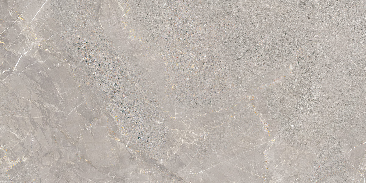 Alchemy Porcelain 50x100cm Rectificado
