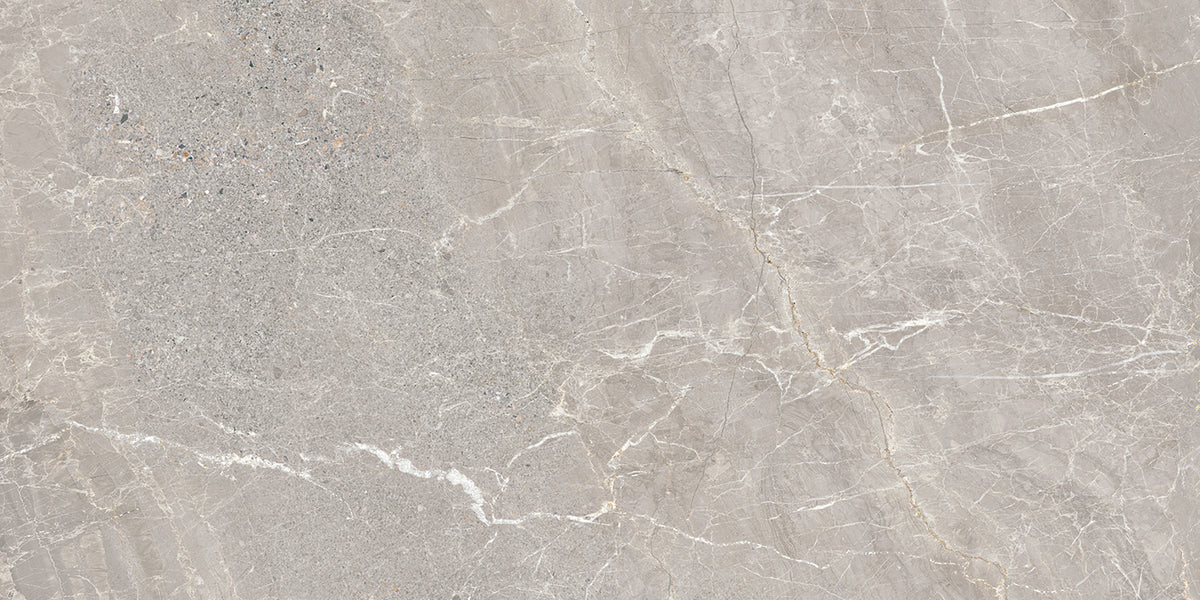 Alchemy Porcelain 50x100cm Rectificado