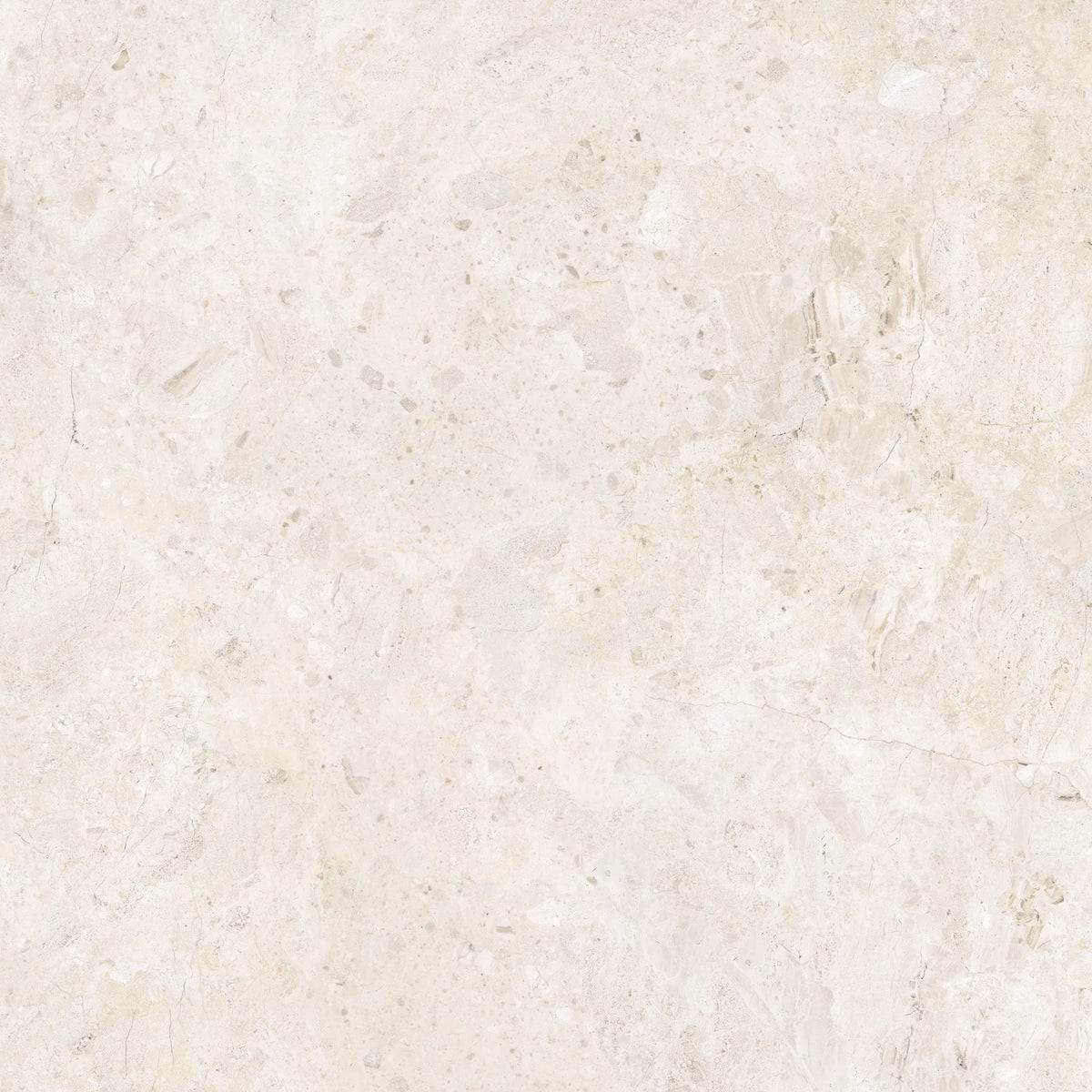 Ardara Porcelain 100x100cm Rectificado