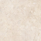 Ardara Porcelain 100x100cm Rectificado