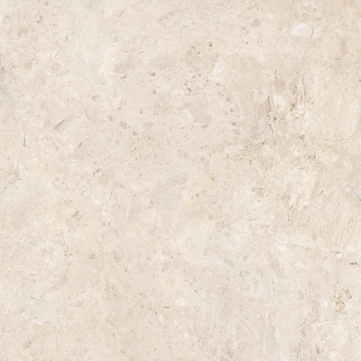 Ardara Porcelain 100x100cm Rectificado