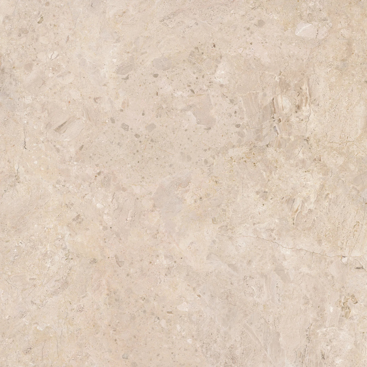 Ardara Porcelain 100x100cm Rectificado