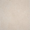 Alaplana Compact 60x60cm Mate Rectificado