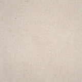 Alaplana Compact 60x60cm Mate Rectificado · Beige