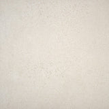 Alaplana Compact 60x60cm Mate Rectificado · Bone