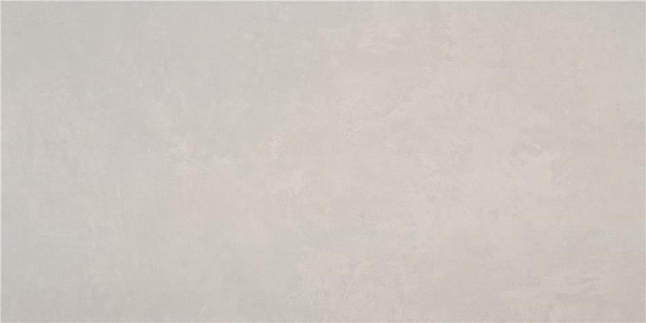 Alaplana Balance 60x120cm Mate Rectificado · Grey