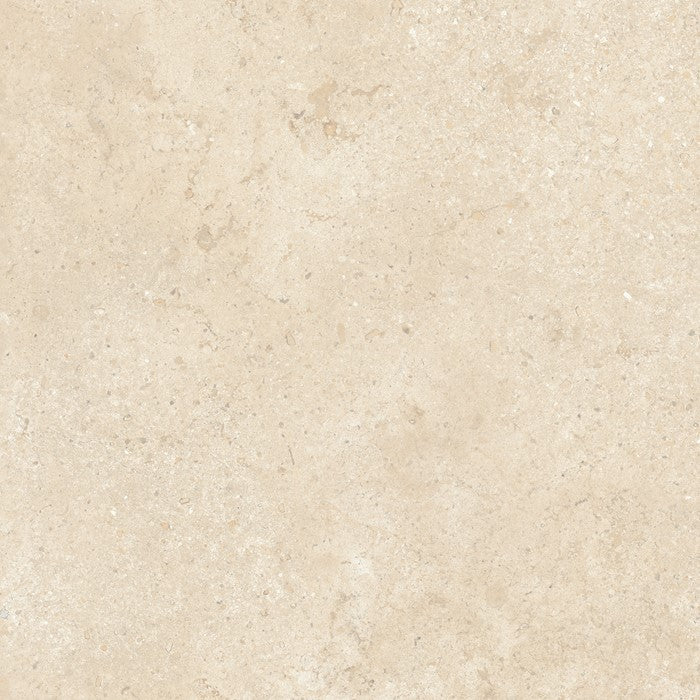 Alaplana Campaspero 60x60cm Mate Rectificado