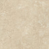 Alaplana Campaspero 120x120cm Rectificado