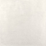 Alaplana Castleton 120x120cm Mate Rectificado · Blanco