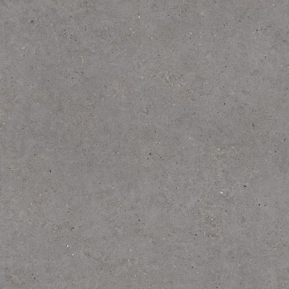 Durstone Somport 30x60cm Mate Rectificado · Grey