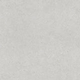 Durstone Somport 120x120cm Mate Rectificado · Light