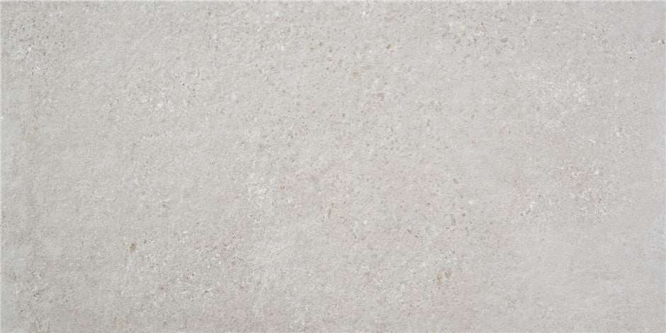 Alaplana Rodas 60x120cm Mate Rectificado · Gris Claro