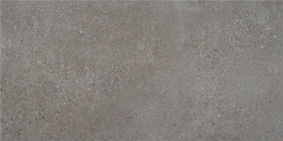 Alaplana Rodas 60x120cm Mate Rectificado · Gris