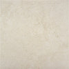 Alaplana Rodas 100x100cm Mate Rectificado