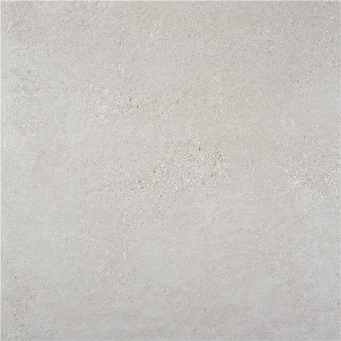 Alaplana Rodas 100x100cm Mate Rectificado · Gris Claro