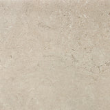 Alaplana Portland 60x60cm Mate Structech Rectificado · Sand